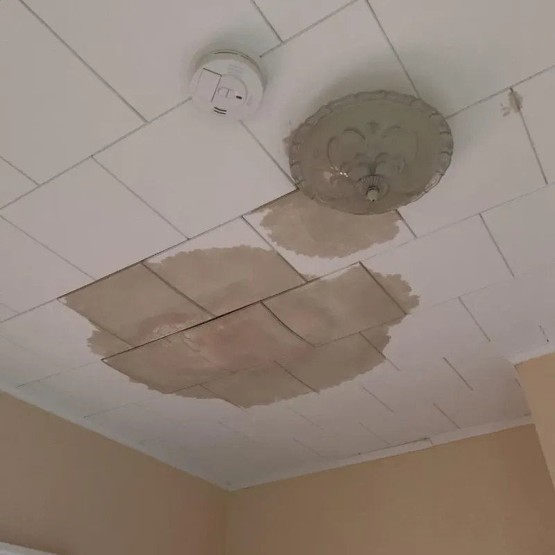 Ceiling Water Damage Repair in Fayette County, WV