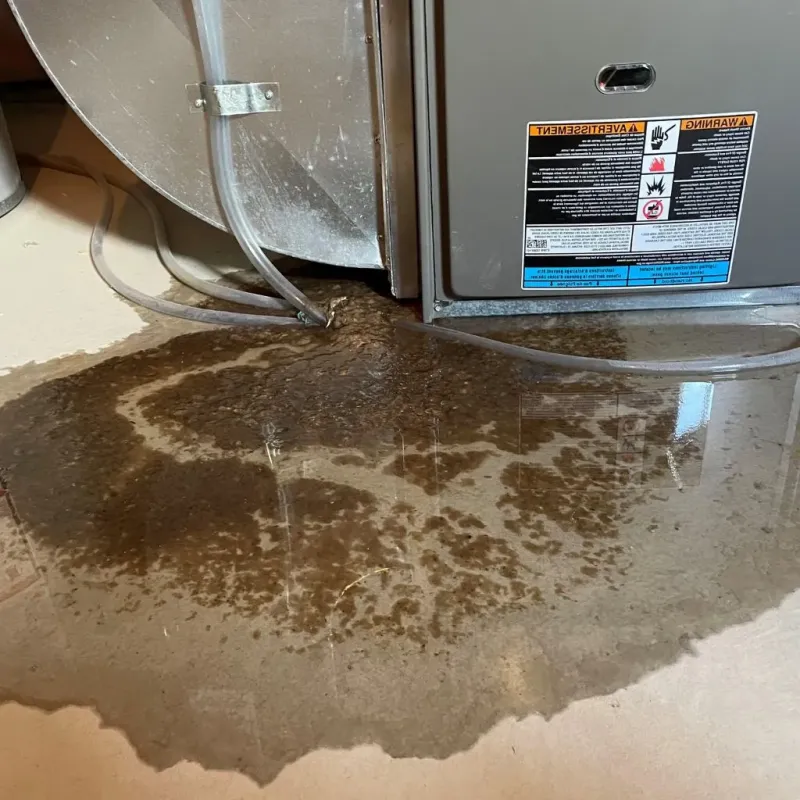Pipe Burst and Leak Restoration in Fayette County, WV