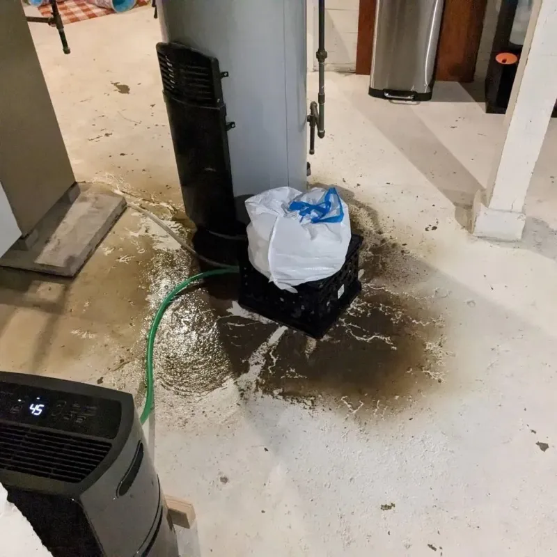 Sewage Backup Cleanup Service in Fayette County, WV